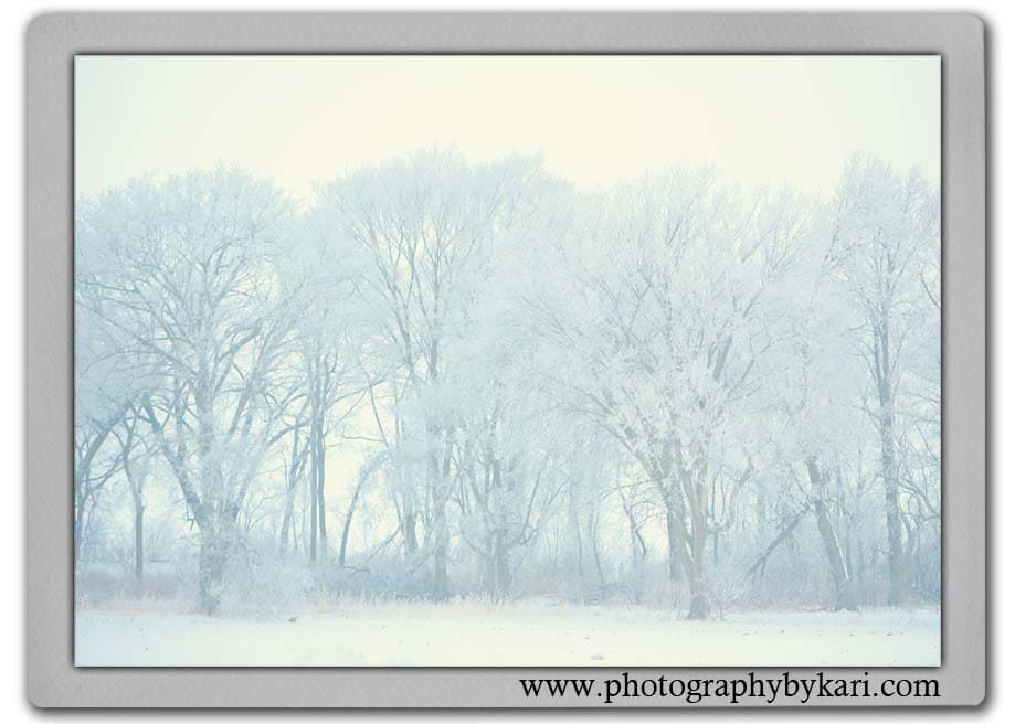Happy Holidays {Spring Valley Minnesota Photographer} - Photography By ...