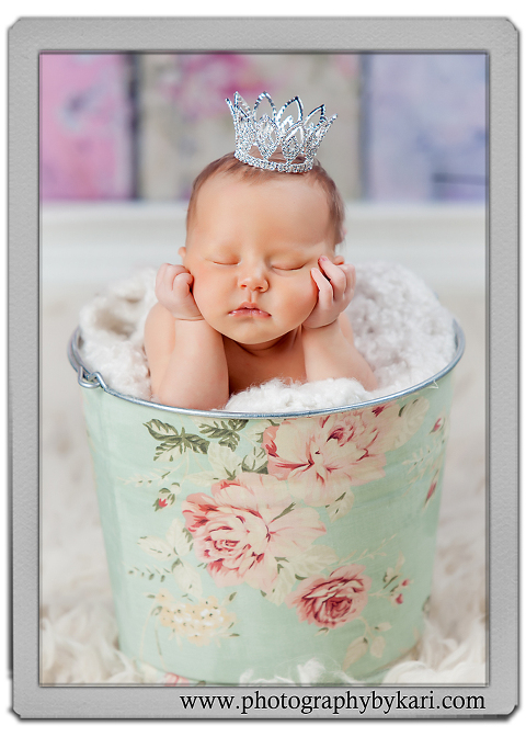 se-minnesota-newborn-portrait-photographer9