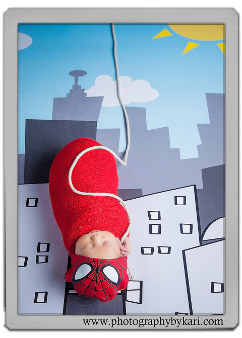 grand-meadow_mn-maternity-newborn-portrait-photographer3