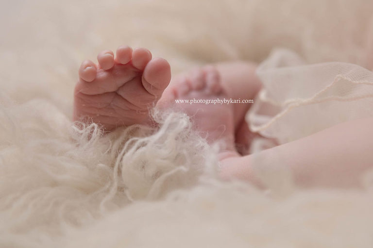 Southeast Minnesota Newborn Portrait