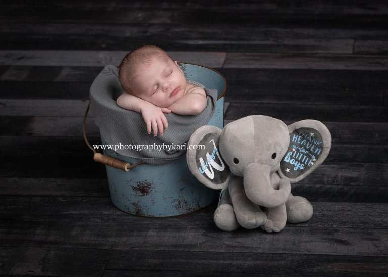 Newborn in bucket portrait