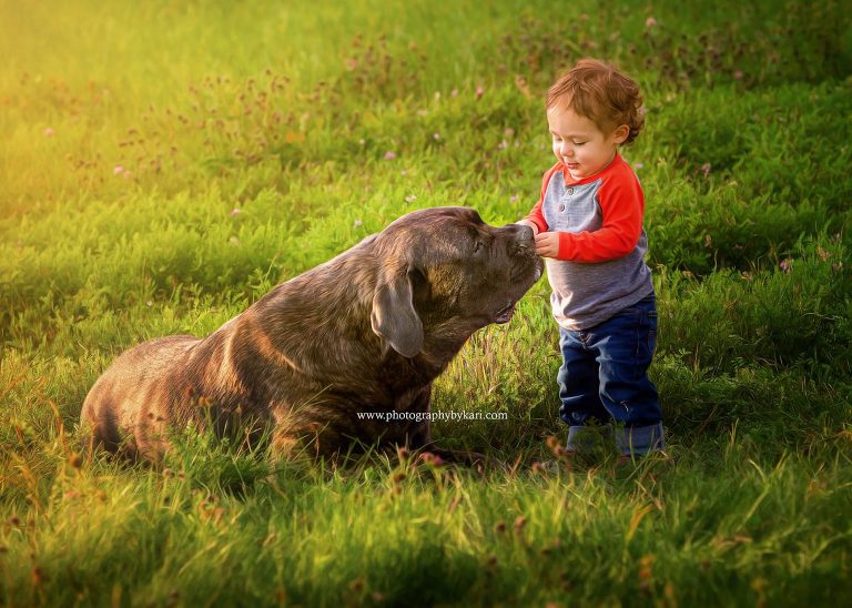 Dog with toddler in MN field taken by Photography by Kari