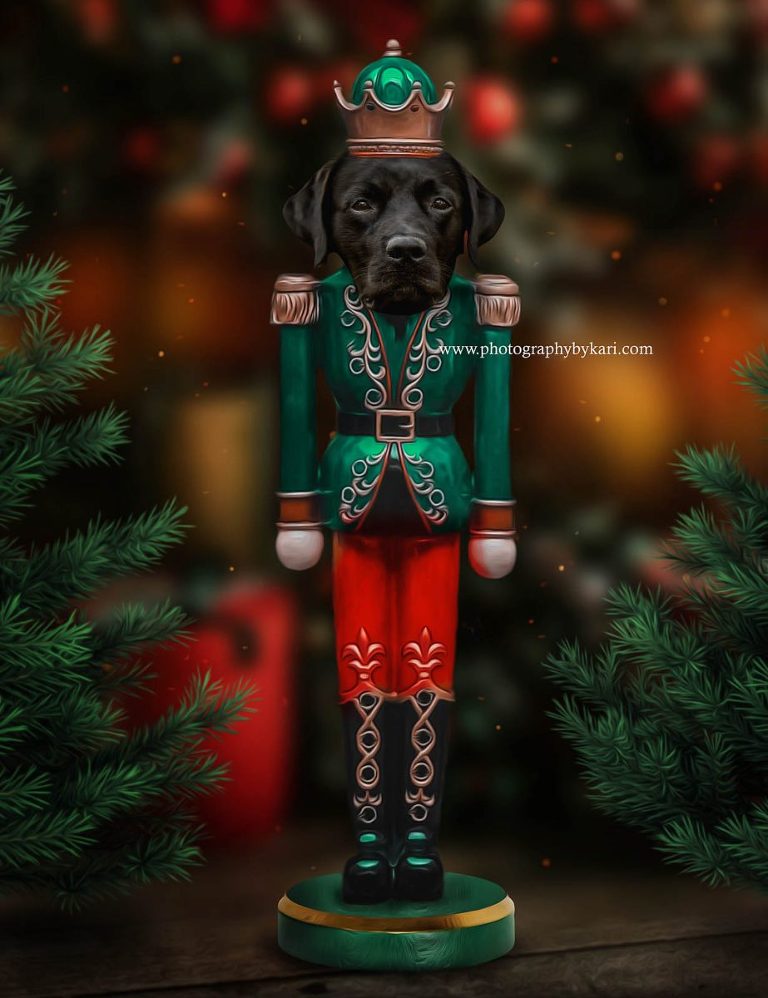SE MN Christmas Dog Photo nutcracker