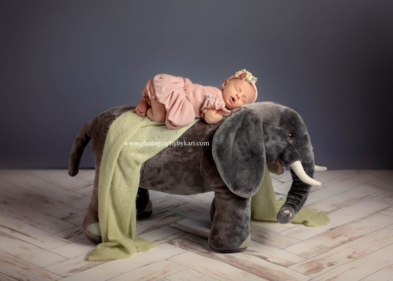 Newborn Portrait Session on an elephant