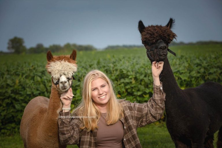 Senior Grad Photos with alpacas