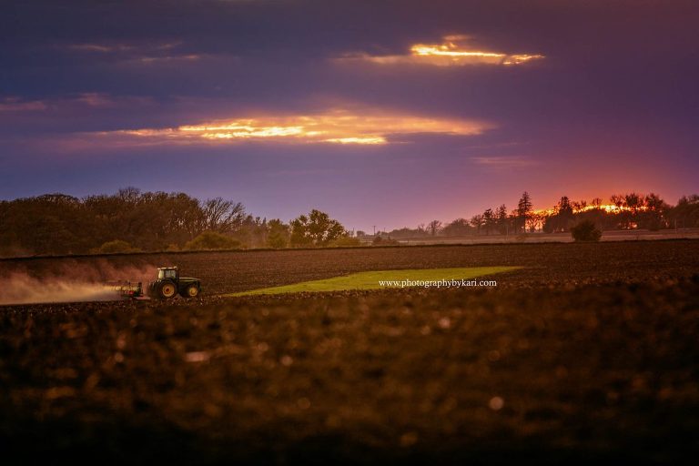 National Farmer’s Day tractor in field portrait
