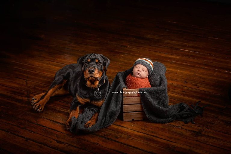 Newborn Portrait photograph  with rottweiler puppy