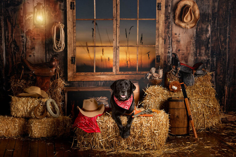 six-shooter dog birthday theme