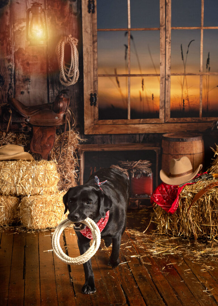 wild west dog birthday photo ideas