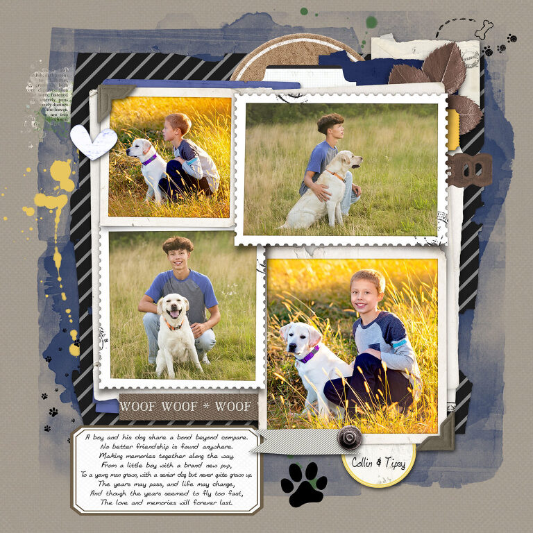 Senior boy with dog Tipsy during Stewartville senior session